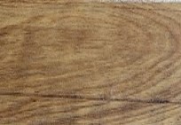 Yellow Walnut
